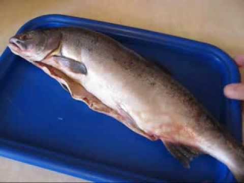 Како солити лосос код куће - 8 детаљних рецепата