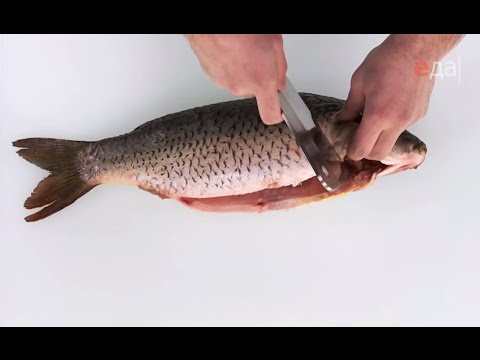 Sådan renses flodfisk fra skalaer og slim