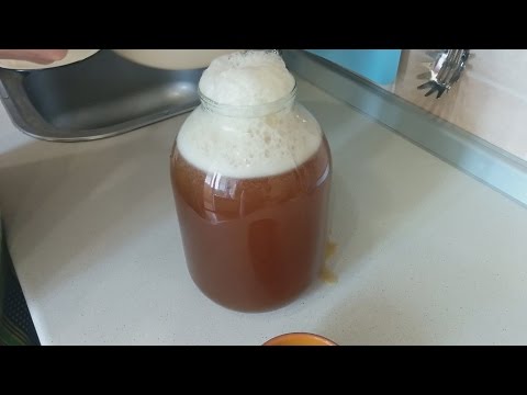 How to make kvass from kvass wort - 3 step by step recipes