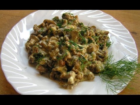 Chanterelle mushrooms, porcini, oyster mushrooms - step-by-step cooking recipes