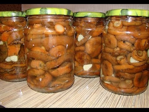 How to salt mushrooms mushrooms - 3 step by step recipes