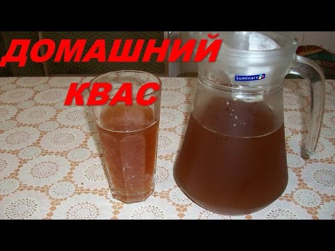 Comment faire du kvas de chicorée - 4 recettes pas à pas avec vidéo