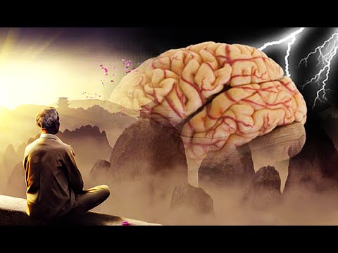 How to increase IQ. Work exercises for the brain. Videos and Tips