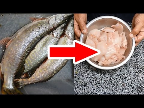 How to clean a pike before cooking