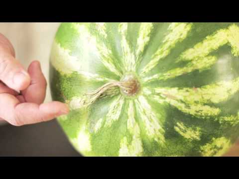 Sådan vælger du en moden vandmelon - 17 tip