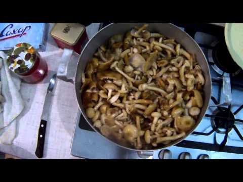 Saler, cuire, faire frire et sécher les champignons