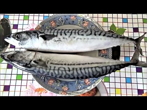How to clean burbot, pollock and mackerel