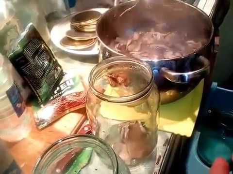 Hvordan man pickle østersvampe til vinteren derhjemme