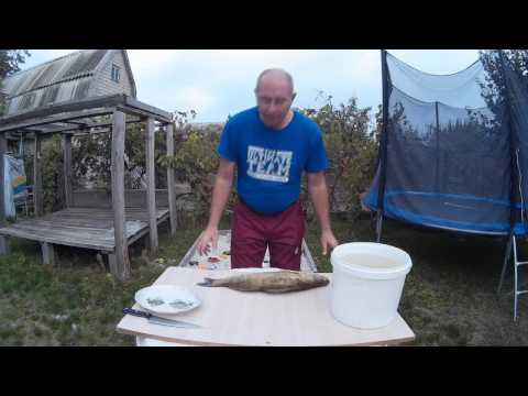 How to clean river fish from scales and mucus