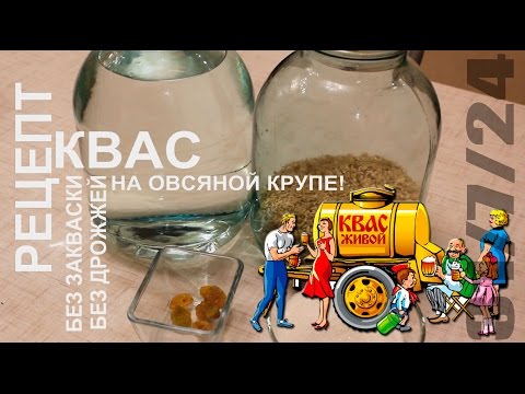 How to make kvass from bread - 11 step by step recipes