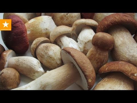 Suola, keitä, paista ja kuivaa sienet