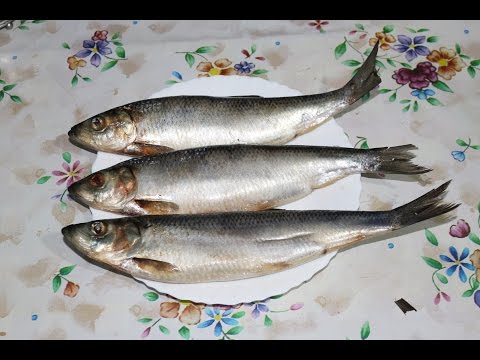 How to salt herring at home - 9 step-by-step recipes