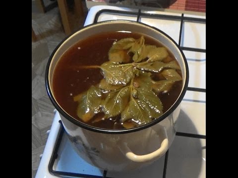 Comment faire du kvas de chicorée - 4 recettes pas à pas avec vidéo