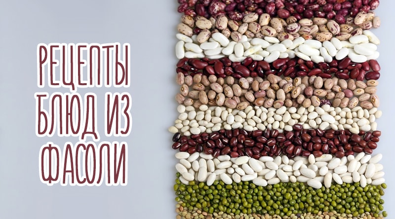 Different varieties of beans