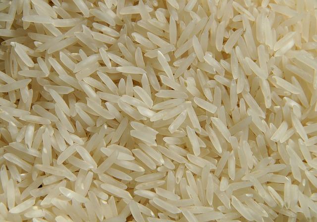 Drūmu rīsu foto