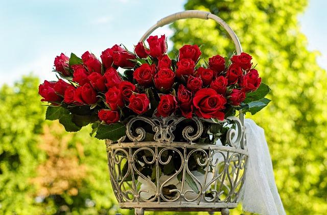 Beautiful bouquet of roses