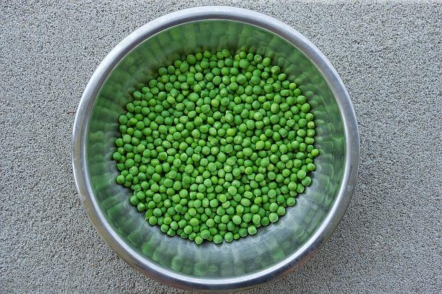 Fresh green pea grains