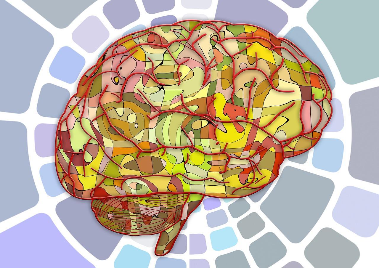 Värikäs valokuva ihmisen aivoista