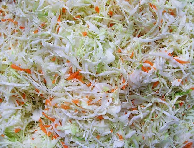 Kuva varhaisesta kaali-salaatista
