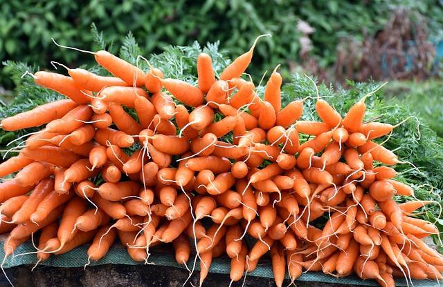 Foto av et helt fjell av gulrøtter
