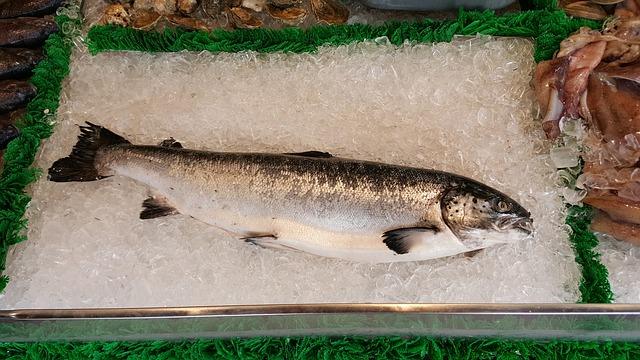 Photo of chilled salmon on ice