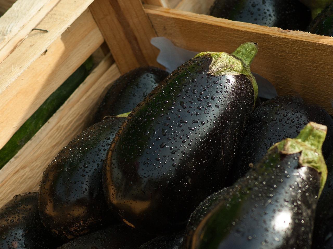 How to salt eggplant for the winter