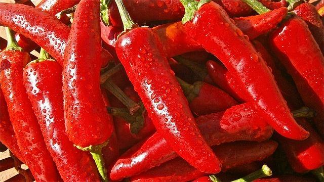 Hot chili papričky