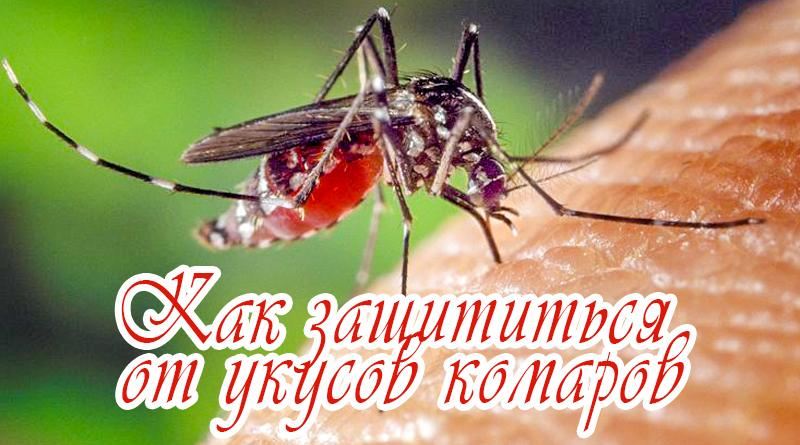 Hvordan bli kvitt mygg