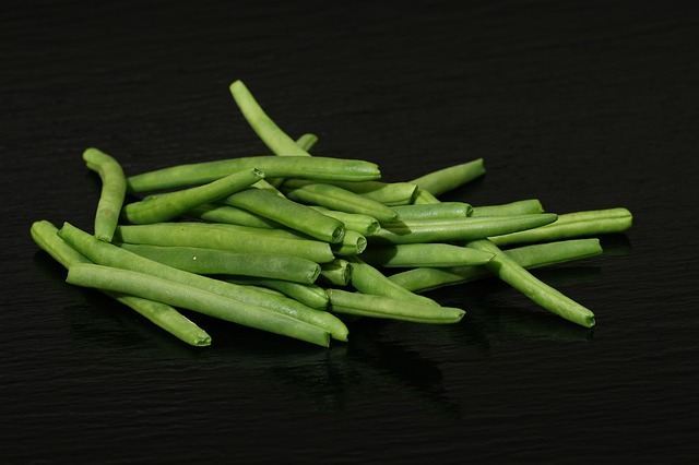 Green Bean Pods