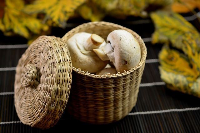 Champignons in a beautiful basket