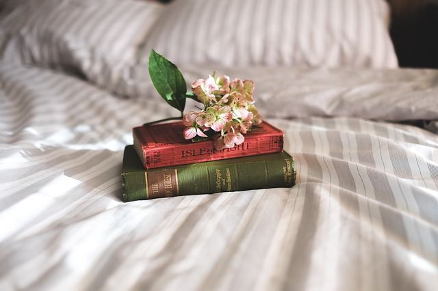 Taches de livres sur le lit