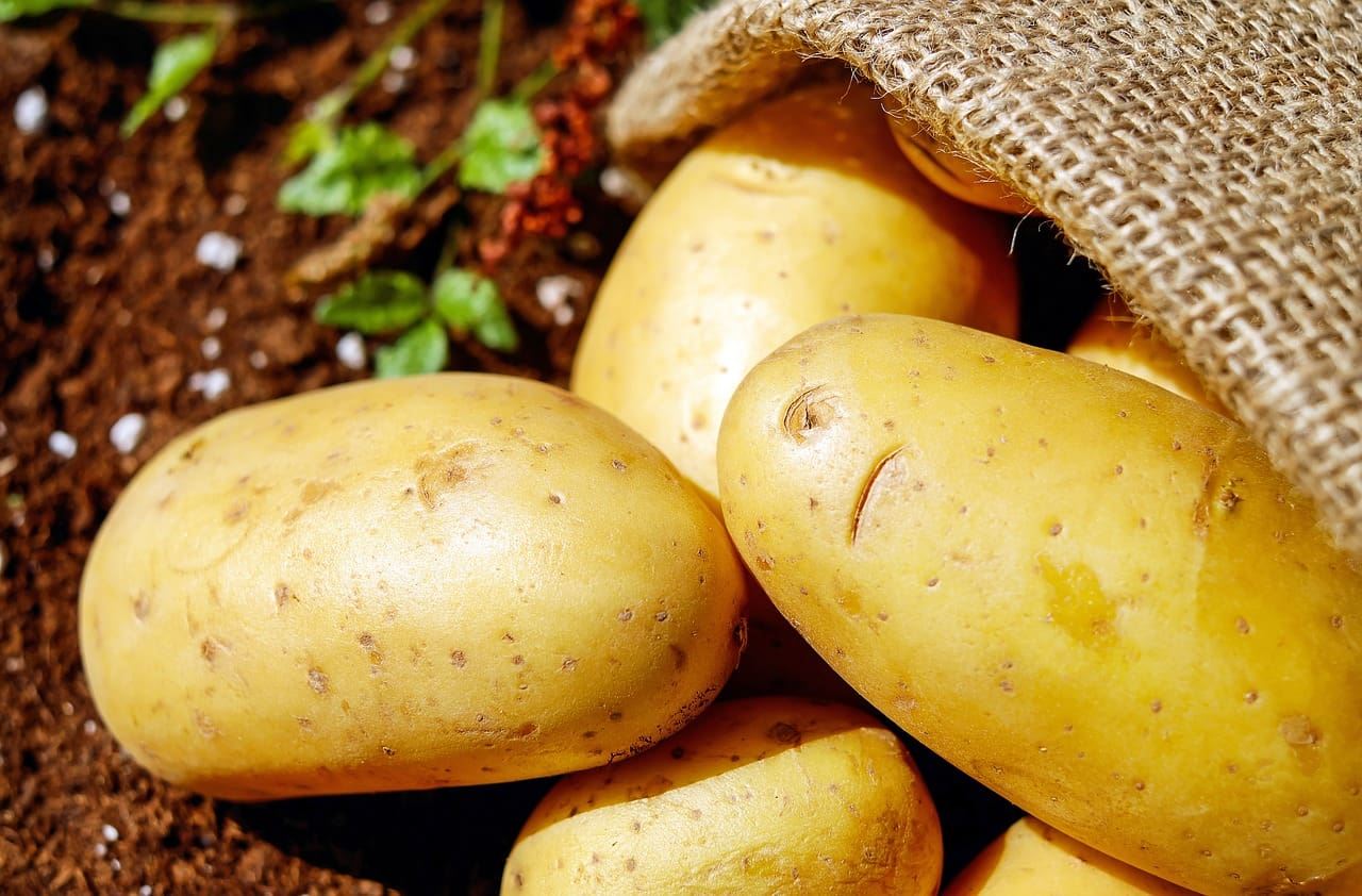 Hvordan man hurtigt skreller en ung kartoffel