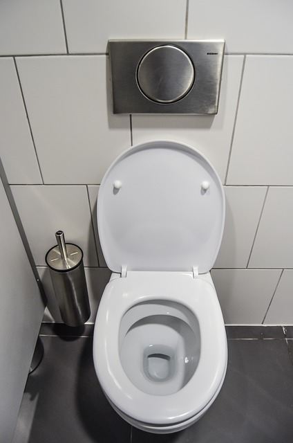 Hình ảnh nhà vệ sinh