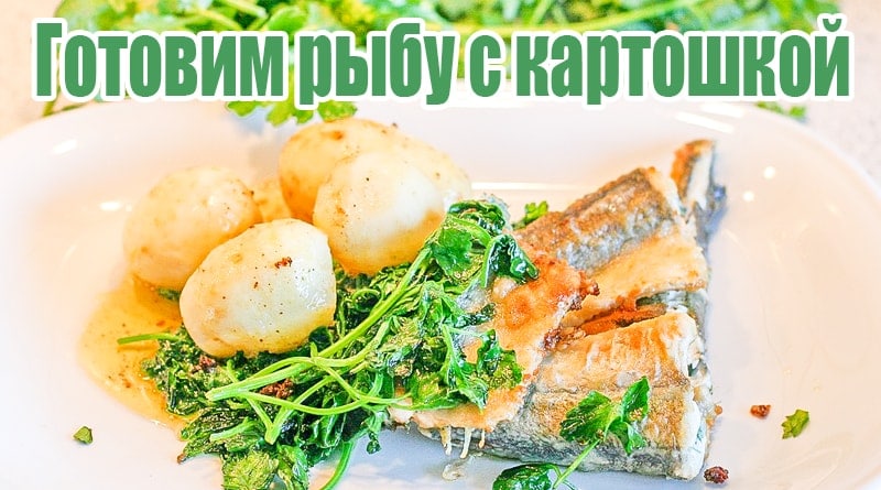 Cá với khoai tây và rau xanh trên một món ăn