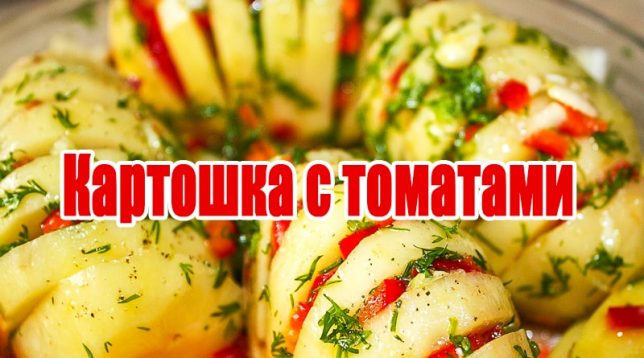 Kartoffel med tomat