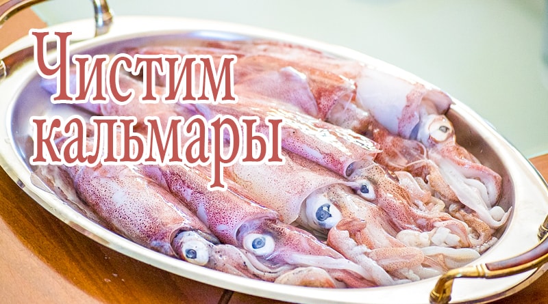 Squid on a dish