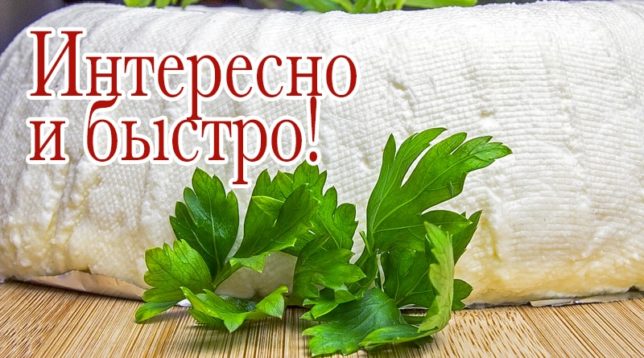 Cottage cheese with parsley