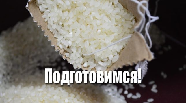 Korn av ris