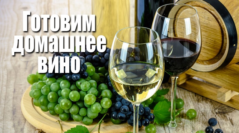 Raisin rouge et vin blanc